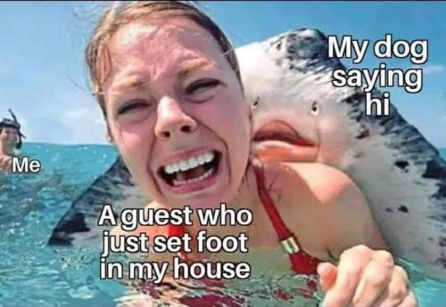 FB_IMG_1654527000896