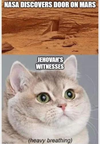 282218735_127184049982660_8874509610584186053_n