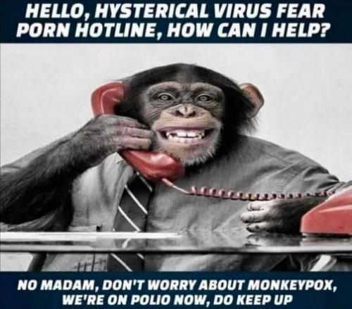 monkeypox31