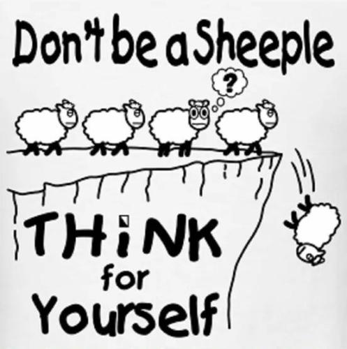 24993306_1636745193038706_4900542683921815012_n - Copy - Copy