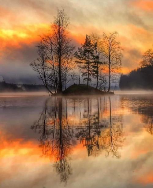 FB_IMG_1642013598938