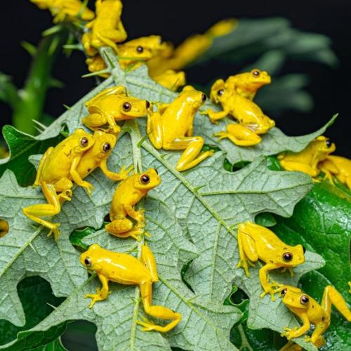 288161187_5591979237502778_87188981890610753_n