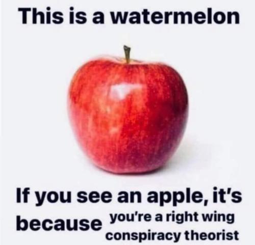 FB_IMG_1656009214819
