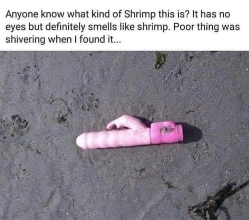 FB_IMG_1656346931365