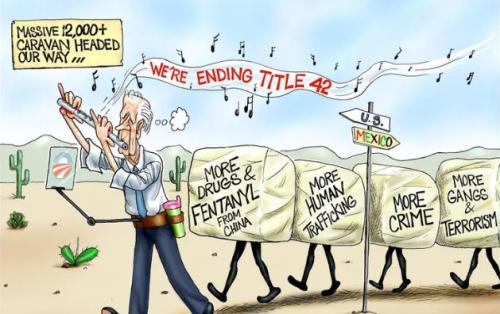 the wall224