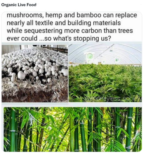 Screenshot_2022-05-12-12-02-07_kindlephoto-169597986