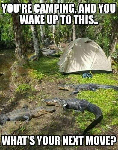 FB_IMG_1654795772277