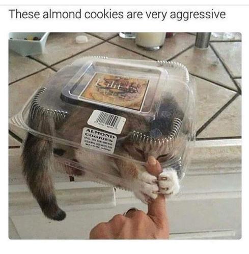 FB_IMG_1655737590377