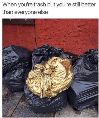 FB_IMG_1655479594679
