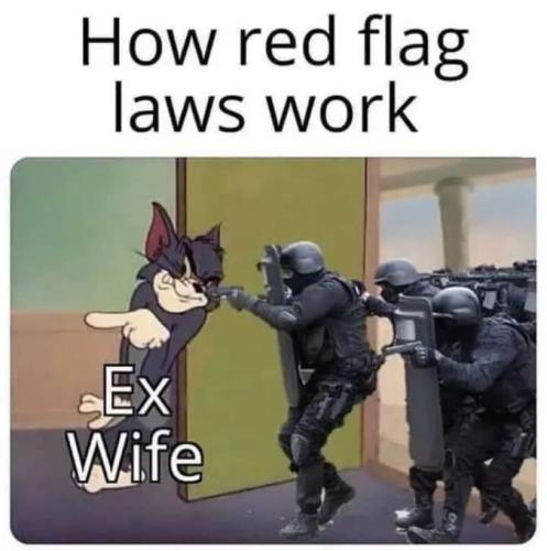 Red Flag laws 1