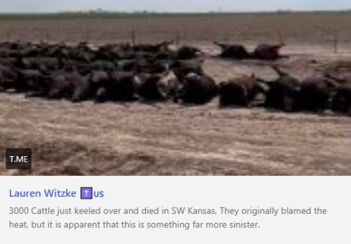 captures_chrome-capture-2022-5-15 (5)