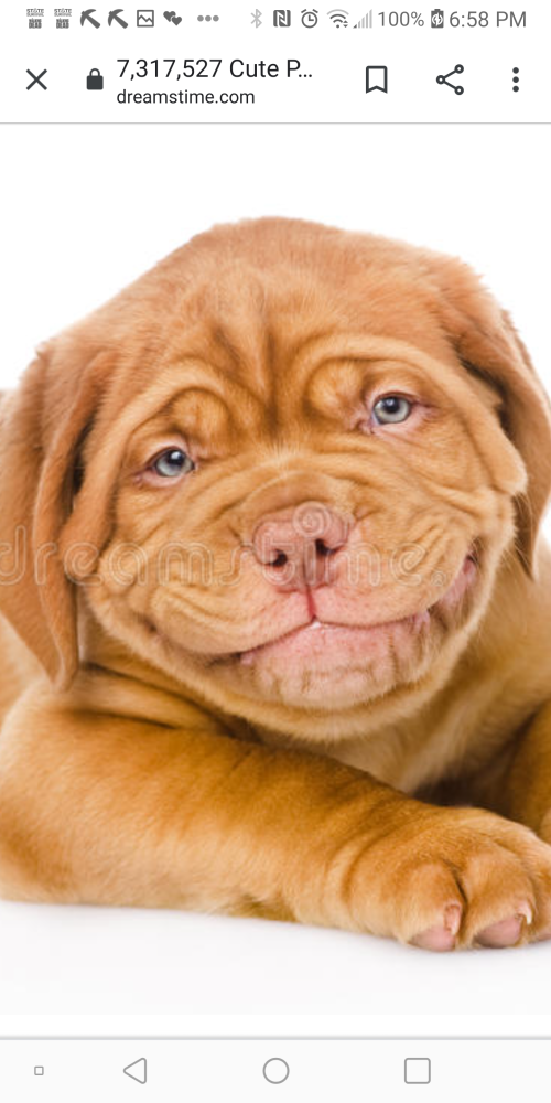 Screenshot_20210901-185814