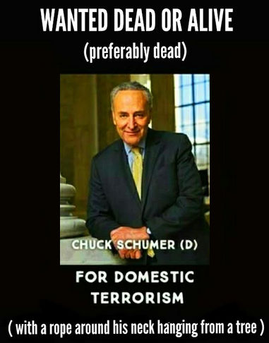 schumer48