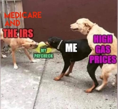 286424998_10221313209524590_8709263201087301941_n