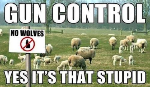 286692903_1531784657254050_8397852525500977978_n