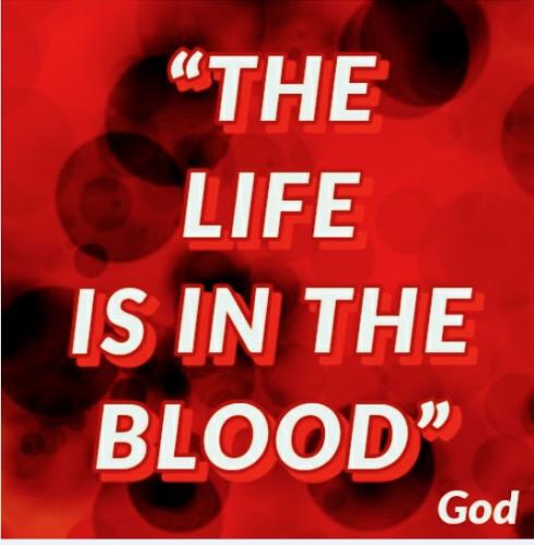 Screenshot_2022-06-02-07-33-56-853_com.adobe.spark.post~2