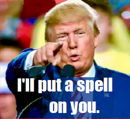 2566e39ba8b2f78b11ca504df0e9a1ed