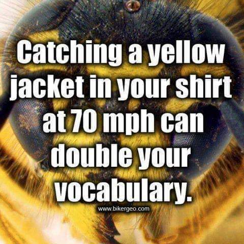 FB_IMG_1655133503130