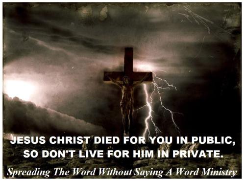 12378019_1018990771516387_6987599763578703808_o