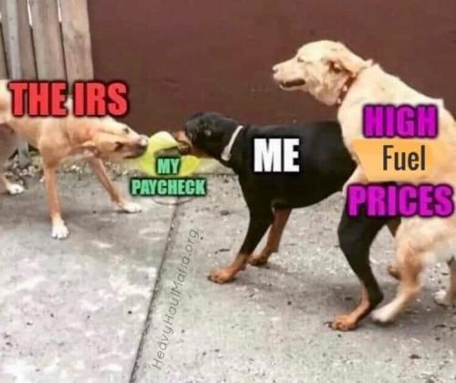 08:46:23 GMT-0400 (EDT)