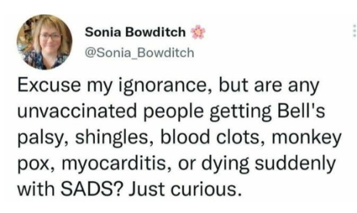 captures_chrome-capture-2022-5-23 (2)