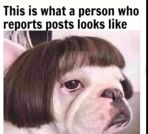 FB_IMG_1654797394188