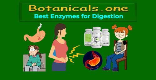Botanicals.one - Best Enzymes for Digestion