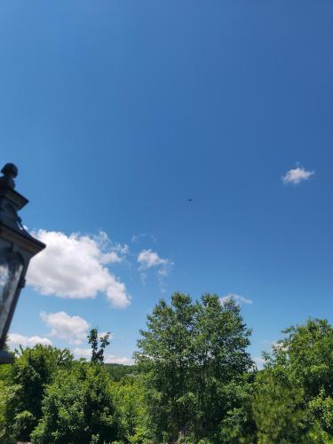 IMG_20220608_122939_MP