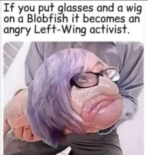 FB_IMG_1656095683682