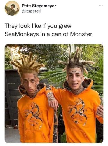FB_IMG_1656346761649