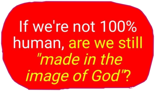 snapshot_www.tumblr.com_1654275340447