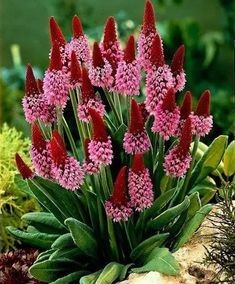 19:57:41 GMT-0500 (CDT)