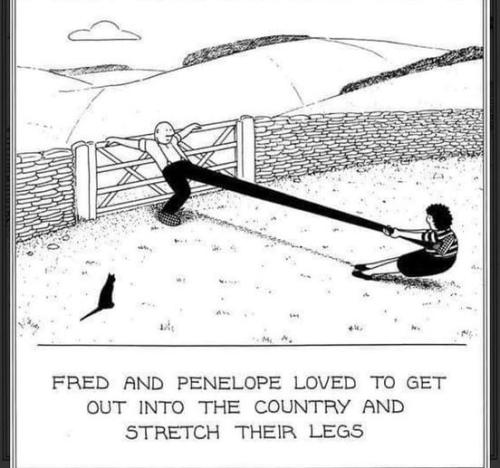 283773603_8244513278907371_2867274243204643041_n