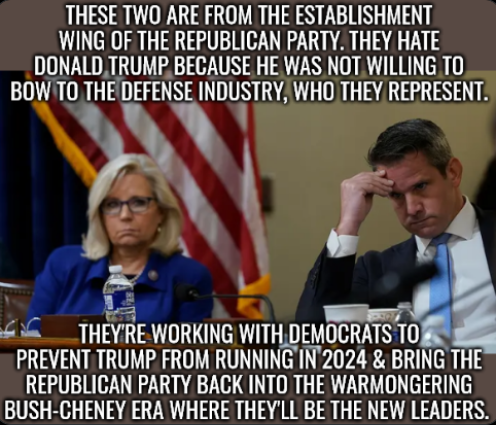 image_2022-06-13_163828236