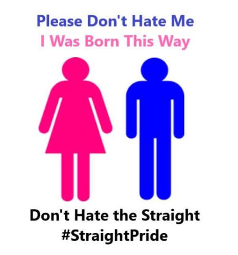 jl-meme-straight-pride-07