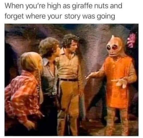 FB_IMG_1654891534766