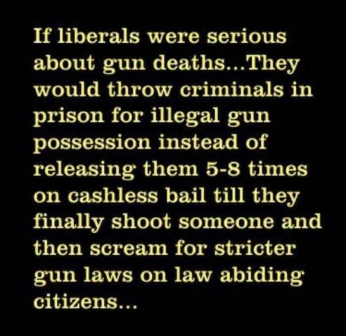 lib gun deaths
