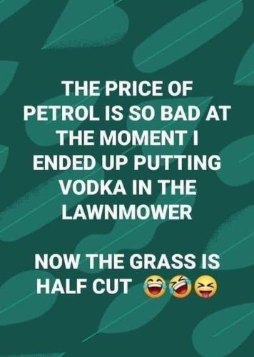 FB_IMG_1655153634226