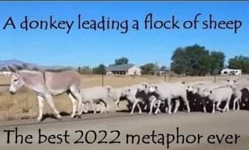 289432113_1324453494709790_8464873629930308695_n