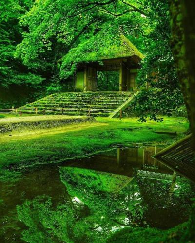 289221135_573049207524419_5366266029880003264_n