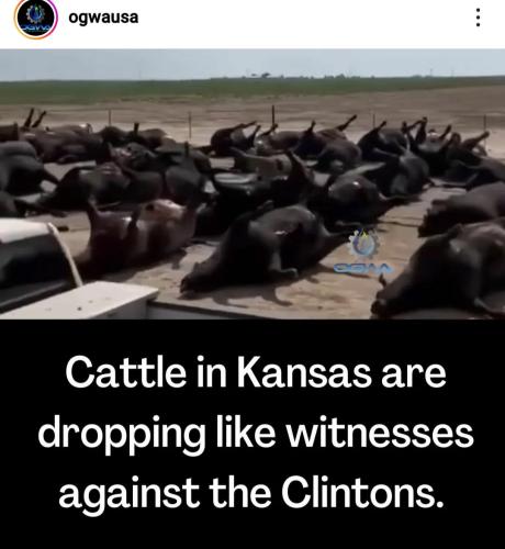 12:35:42 GMT-0500 (CDT)