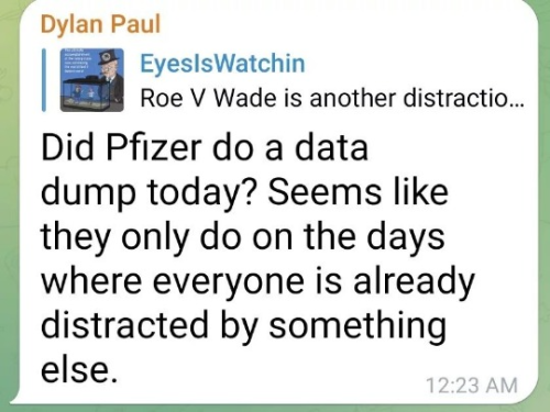 captures_chrome-capture-2022-5-29 (11)