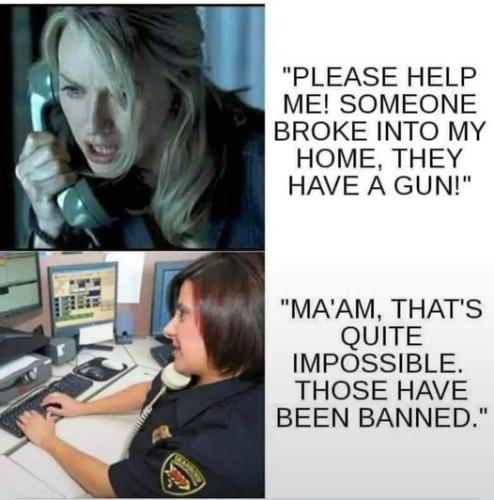 banned guns