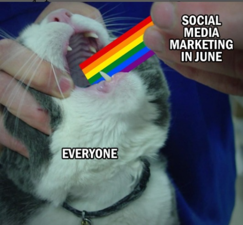 captures_chrome-capture-2022-5-4 (1)