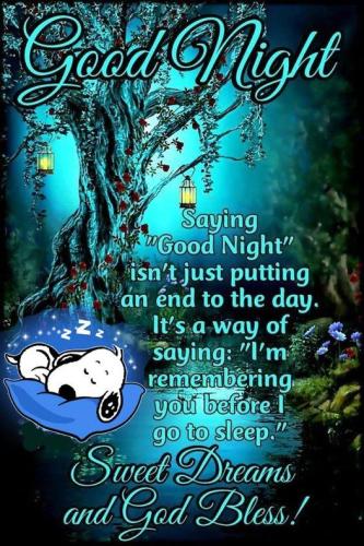 !  Good Night and Sweet Dreams