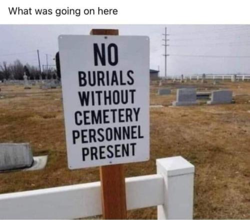 FB_IMG_1654798055188