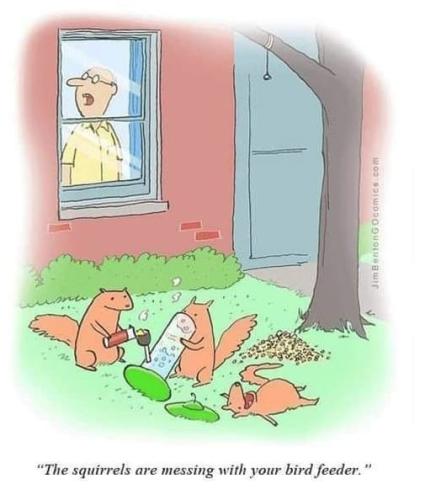 IMG_20220604_203029_744