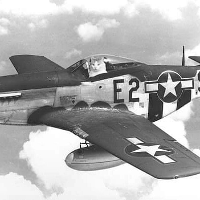 IMG_20210922_224231_710