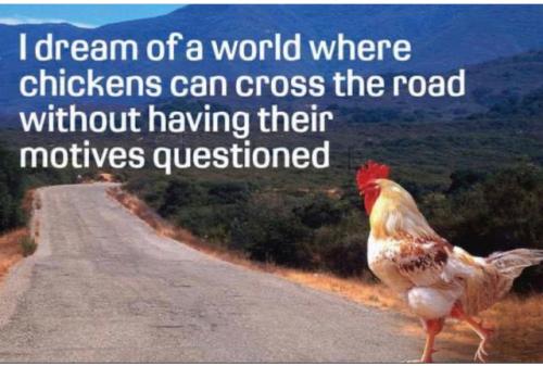 tumblr_716cced6d3fc299f488ea8130e720623_ad722af6_640