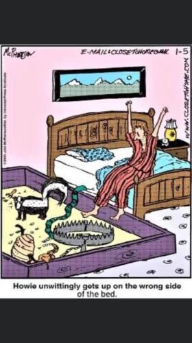 289305428_7881845028522138_109926096513499976_n